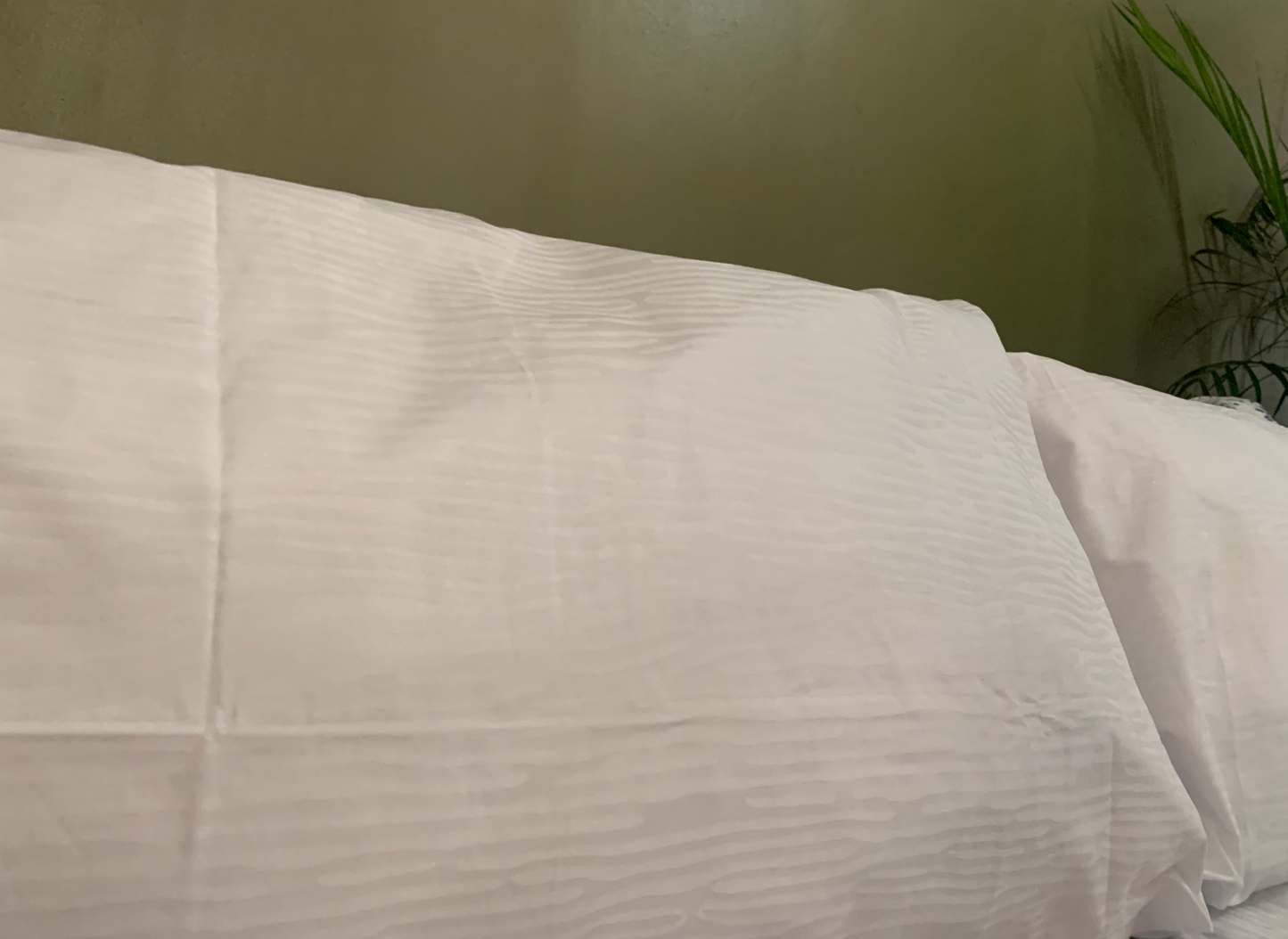 Bed Pillows