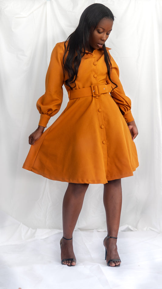 Beth Button Down Dress