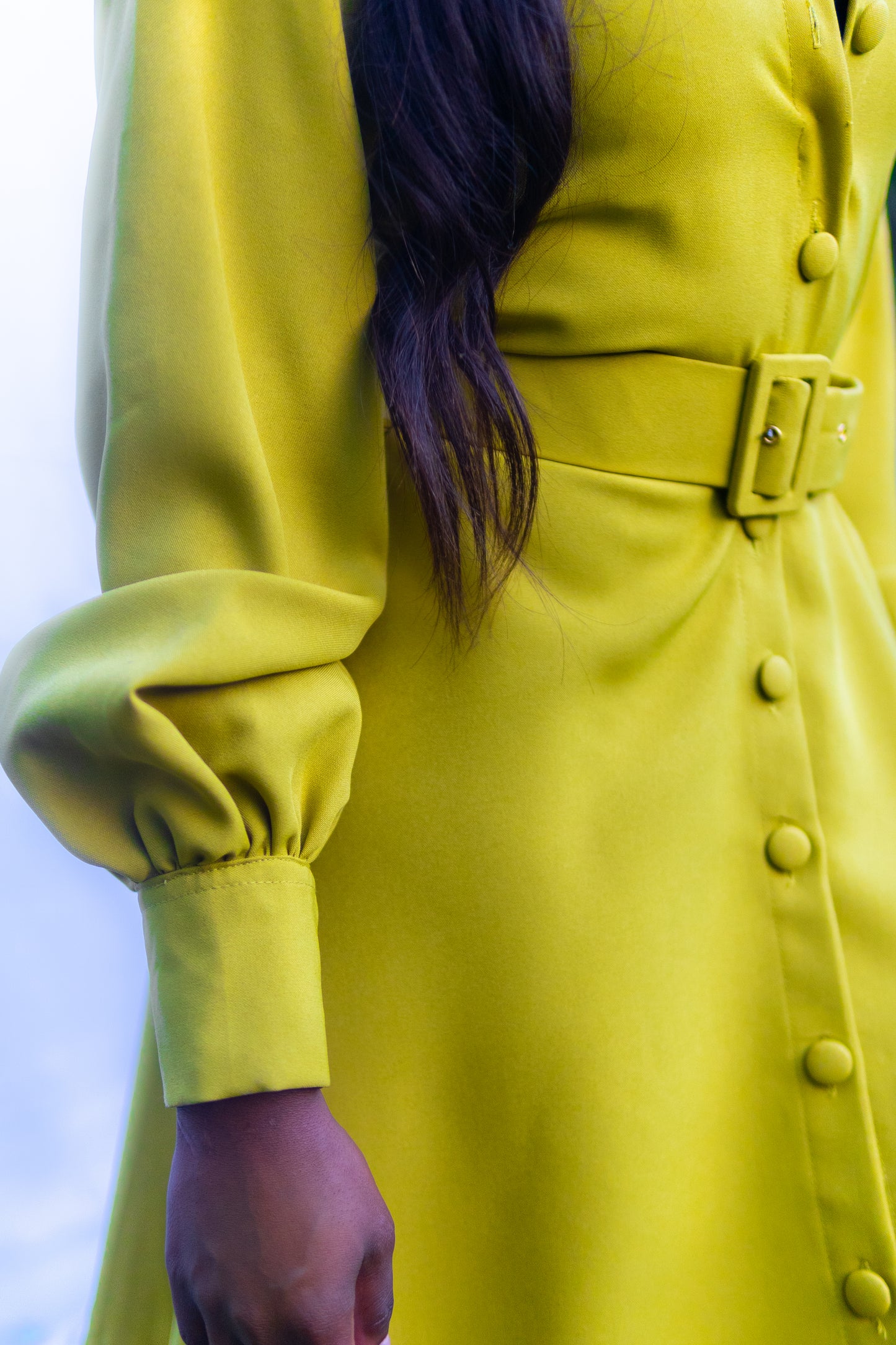 Beth Button Down Dress