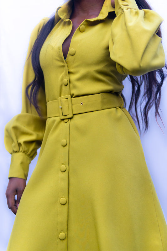 Beth Button Down Dress